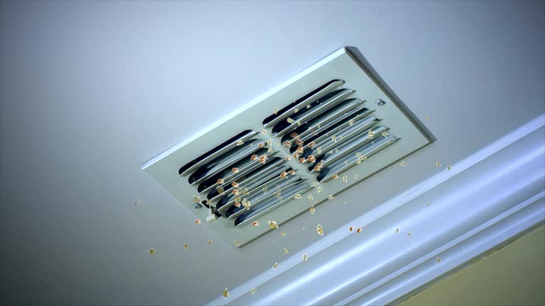 Best HVAC Air Duct Cleaning  in Edgerton, MN