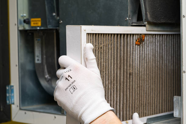Best Affordable Air Duct Cleaning  in Edgerton, MN