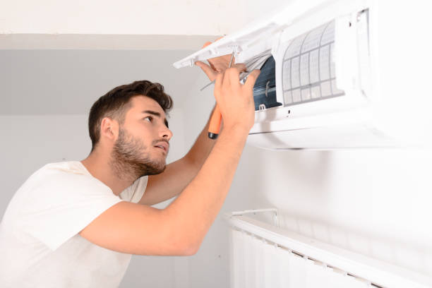 Air Duct Mold Removal in MN